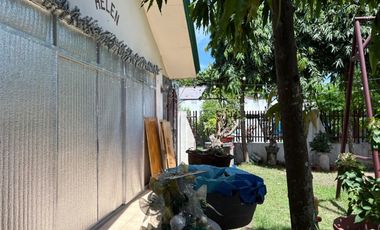 TWO HOUSES FOR SALE IN DUMAGUETE CITY ID 14983