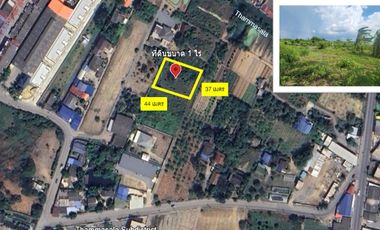 Prime Location – Vacant Land for Sale in Nakhon Pathom City!  Tesaban Soi 2/1, Thammasala Subdistrict – Only 800 meters from Phetkasem Road!