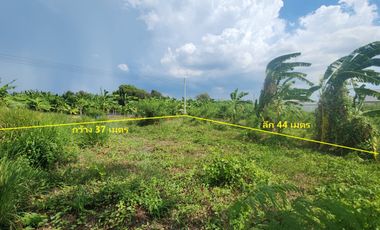 Prime Location – Vacant Land for Sale in Nakhon Pathom City!  Tesaban Soi 2/1, Thammasala Subdistrict – Only 800 meters from Phetkasem Road!