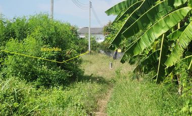 Prime Location – Vacant Land for Sale in Nakhon Pathom City!  Tesaban Soi 2/1, Thammasala Subdistrict – Only 800 meters from Phetkasem Road!