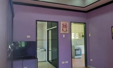TWO HOUSES FOR SALE IN DUMAGUETE CITY ID 14983