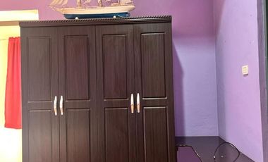 TWO HOUSES FOR SALE IN DUMAGUETE CITY ID 14983