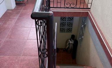 TWO HOUSES FOR SALE IN DUMAGUETE CITY ID 14983