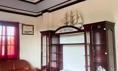 TWO HOUSES FOR SALE IN DUMAGUETE CITY ID 14983
