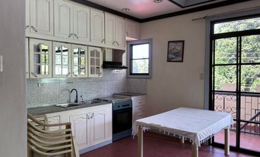 TWO HOUSES FOR SALE IN DUMAGUETE CITY ID 14983