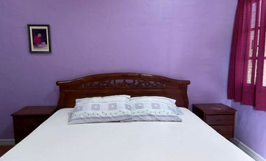 TWO HOUSES FOR SALE IN DUMAGUETE CITY ID 14983
