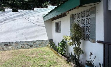 TWO HOUSES FOR SALE IN DUMAGUETE CITY ID 14983
