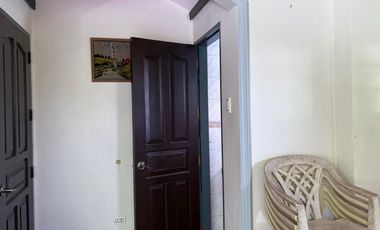 TWO HOUSES FOR SALE IN DUMAGUETE CITY ID 14983