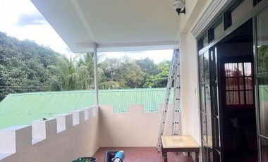 TWO HOUSES FOR SALE IN DUMAGUETE CITY ID 14983