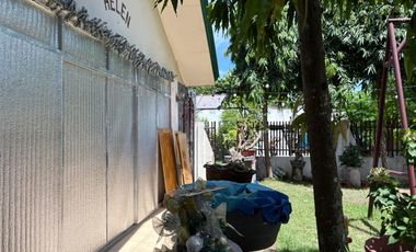 TWO HOUSES FOR SALE IN DUMAGUETE CITY ID 14983