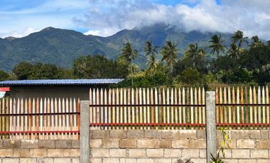 HOUSE WITH OCEAN & MOUNTAIN VIEW FOR SALE IN DAUIN