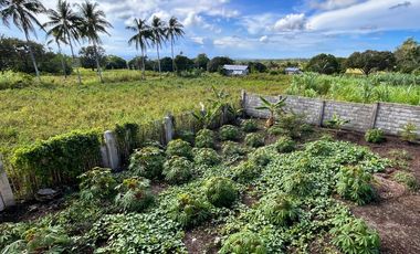 HOUSE WITH OCEAN & MOUNTAIN VIEW FOR SALE IN DAUIN