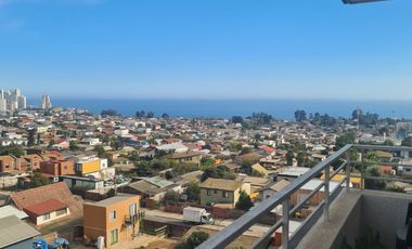 LOS ABEDULES – CONCON