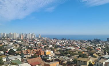 LOS ABEDULES – CONCON