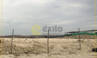 VENDO TERRENO DE 3 HECTAREAS CARRETERA PIURA PAITA