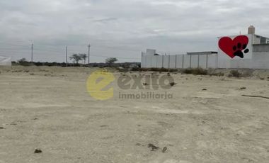 VENDO TERRENO DE 3 HECTAREAS CARRETERA PIURA PAITA