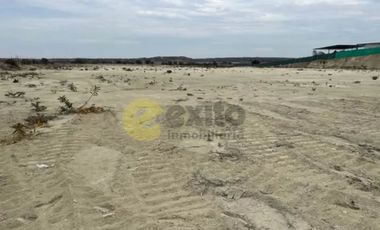 VENDO TERRENO DE 3 HECTAREAS CARRETERA PIURA PAITA