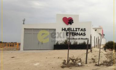 VENDO TERRENO DE 3 HECTAREAS CARRETERA PIURA PAITA