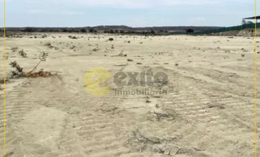 VENDO TERRENO DE 3 HECTAREAS CARRETERA PIURA PAITA