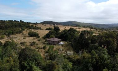 Campo en venta en Quenuir – Huapache – Maullín - Región de Los Lagos