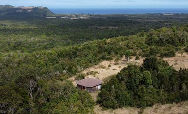 Campo en venta en Quenuir – Huapache – Maullín - Región de Los Lagos