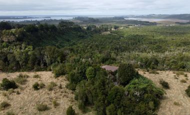 Campo en venta en Quenuir – Huapache – Maullín - Región de Los Lagos