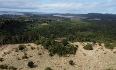 Campo en venta en Quenuir – Huapache – Maullín - Región de Los Lagos