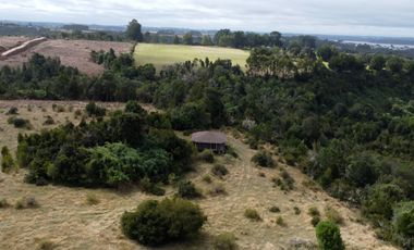 Campo en venta en Quenuir – Huapache – Maullín - Región de Los Lagos