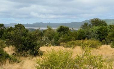 Campo en venta en Quenuir – Huapache – Maullín - Región de Los Lagos