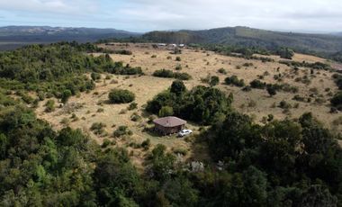 Campo en venta en Quenuir – Huapache – Maullín - Región de Los Lagos