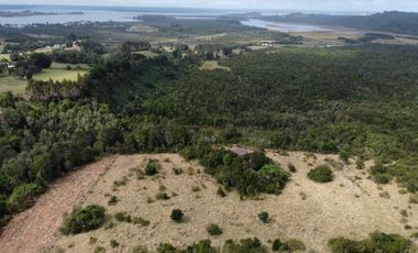 Campo en venta en Quenuir – Huapache – Maullín - Región de Los Lagos
