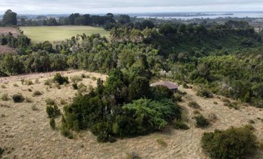 Campo en venta en Quenuir – Huapache – Maullín - Región de Los Lagos