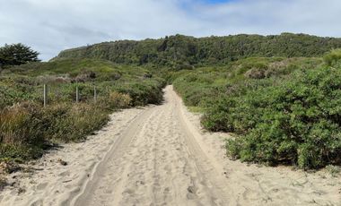 Campo en venta en Quenuir – Huapache – Maullín - Región de Los Lagos