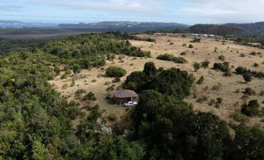 Campo en venta en Quenuir – Huapache – Maullín - Región de Los Lagos