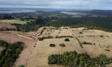 Campo en venta en Quenuir – Huapache – Maullín - Región de Los Lagos