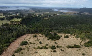 Campo en venta en Quenuir – Huapache – Maullín - Región de Los Lagos