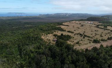 Campo en venta en Quenuir – Huapache – Maullín - Región de Los Lagos