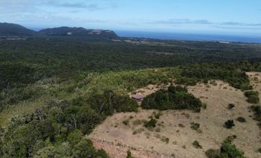 Campo en venta en Quenuir – Huapache – Maullín - Región de Los Lagos