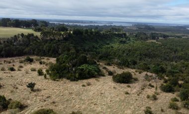 Campo en venta en Quenuir – Huapache – Maullín - Región de Los Lagos