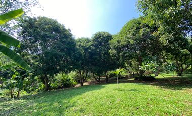 A charming one storey villa 2 bed for sale in Mae Rim, Chiang Mai