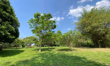 A charming one storey villa 2 bed for sale in Mae Rim, Chiang Mai