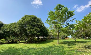 A charming one storey villa 2 bed for sale in Mae Rim, Chiang Mai