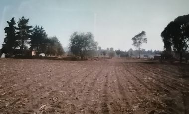 VENTA - TERRENO DE 8316 M2 EN AYAPANGO DE RAMOS MILLÁN, AMECAMECA, EDO. MEX
