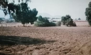 VENTA - TERRENO DE 8316 M2 EN AYAPANGO DE RAMOS MILLÁN, AMECAMECA, EDO. MEX