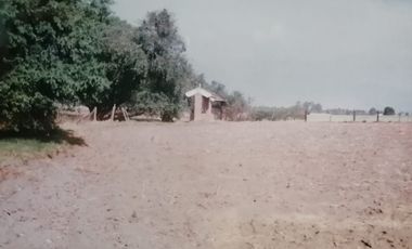 VENTA - TERRENO DE 8316 M2 EN AYAPANGO DE RAMOS MILLÁN, AMECAMECA, EDO. MEX