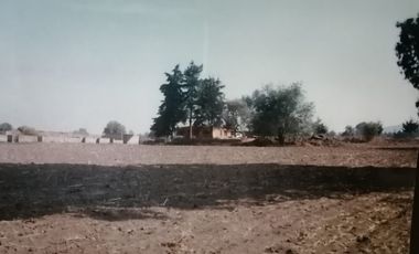 VENTA - TERRENO DE 8316 M2 EN AYAPANGO DE RAMOS MILLÁN, AMECAMECA, EDO. MEX