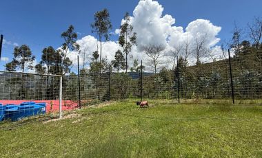 Amplia propiedad con árboles frutales en Paute