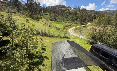 Amplia propiedad con árboles frutales en Paute