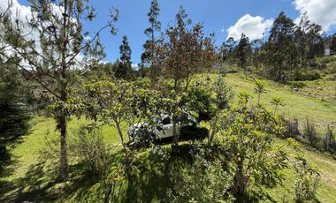 Amplia propiedad con árboles frutales en Paute