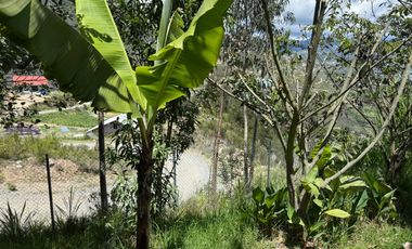 Amplia propiedad con árboles frutales en Paute